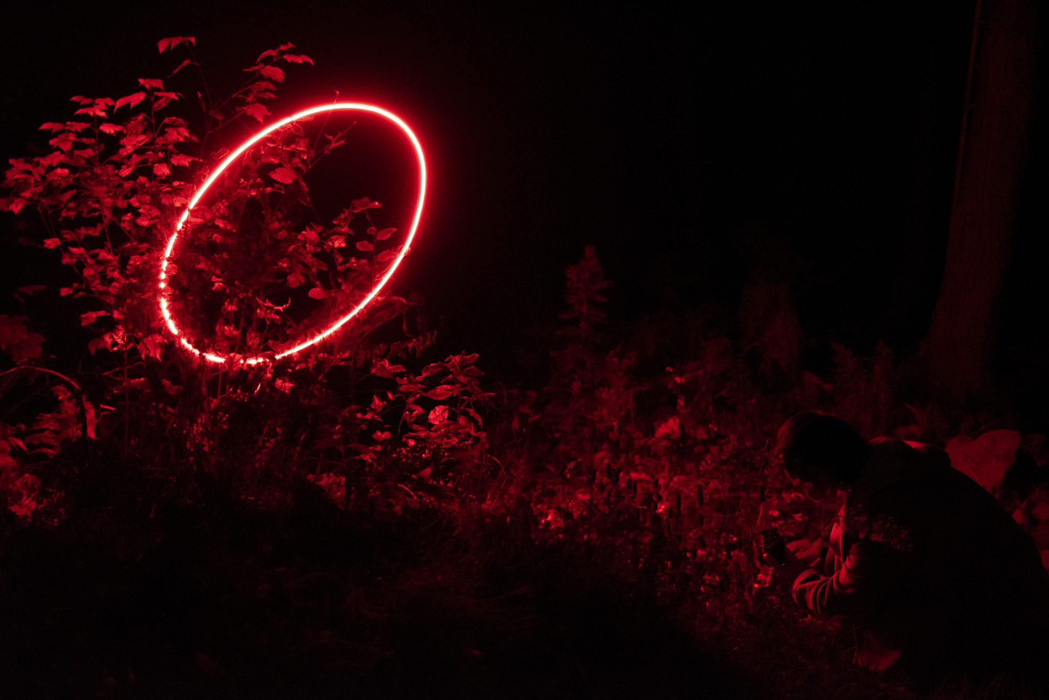 bright red neon circle suspended over a creek in the woods at night