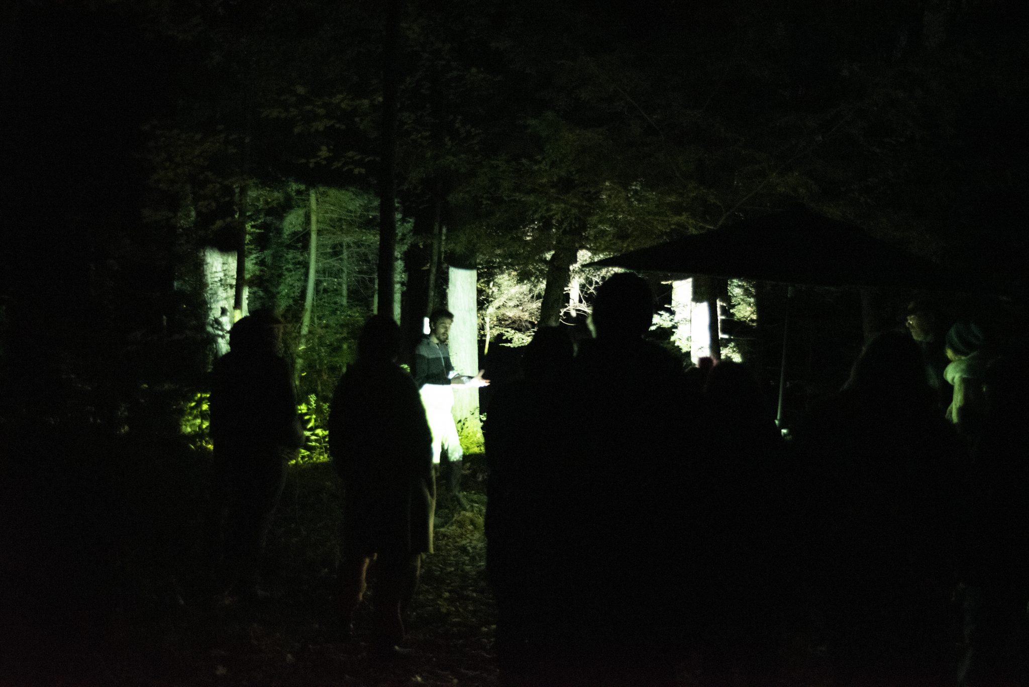 interactive projection by Dan Tapper at night on a farm in Quebec